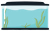 Feed Plecostomus suckermouth catfish
