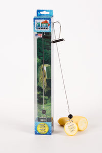 Pleco Fish Feeder