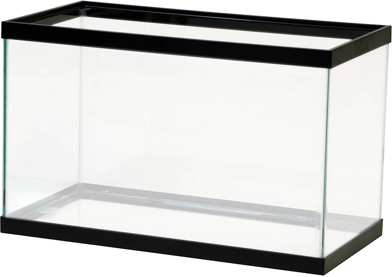 Pros and Cons: Glass vs. Acrylic Aquariums
