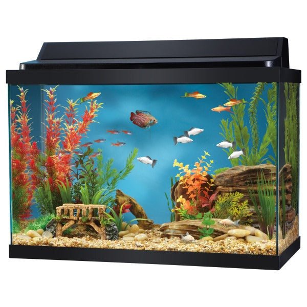 20 gallon long fish tank hotsell