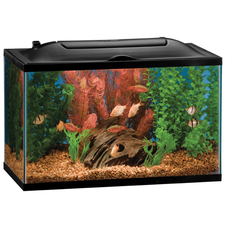 CHART Aquarium Heater Wattage Guide Pleco Feeder