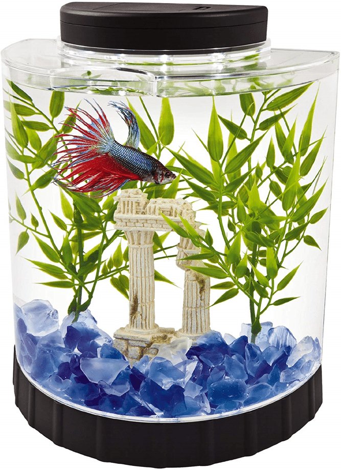 Decoration Ideas for Small Aquariums