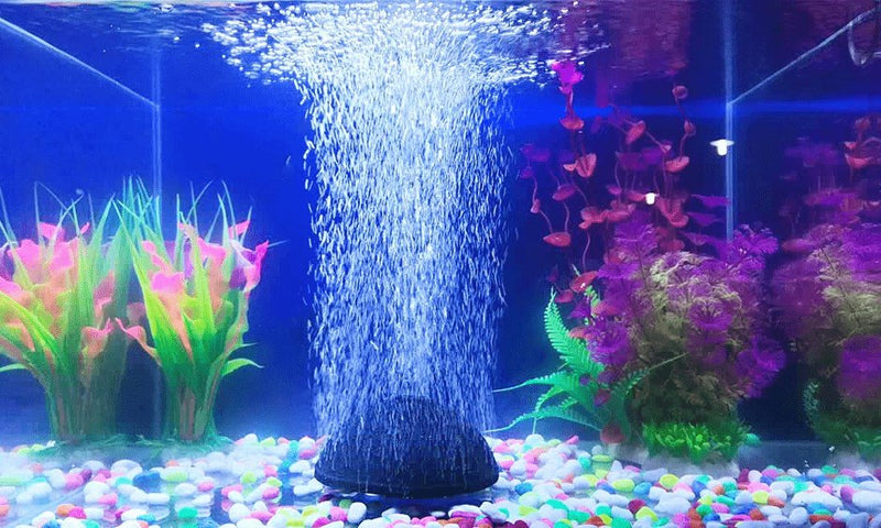 How to Set Up an Aquarium Bubbler (Airstone)