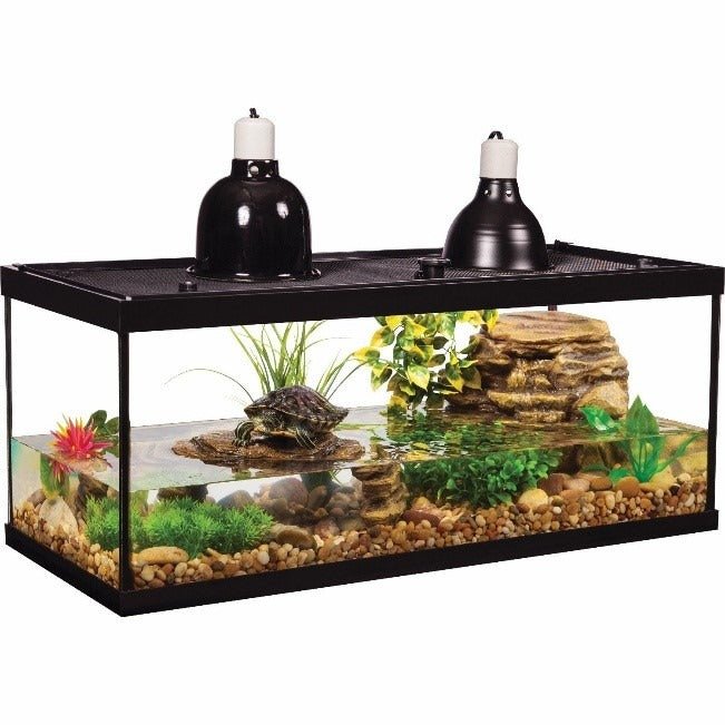 Aqua culture 10 gallon reptile habitat starter kit best sale