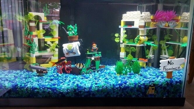 DIY: Creative Aquarium Decoration Ideas to Freshen Up Your Tank