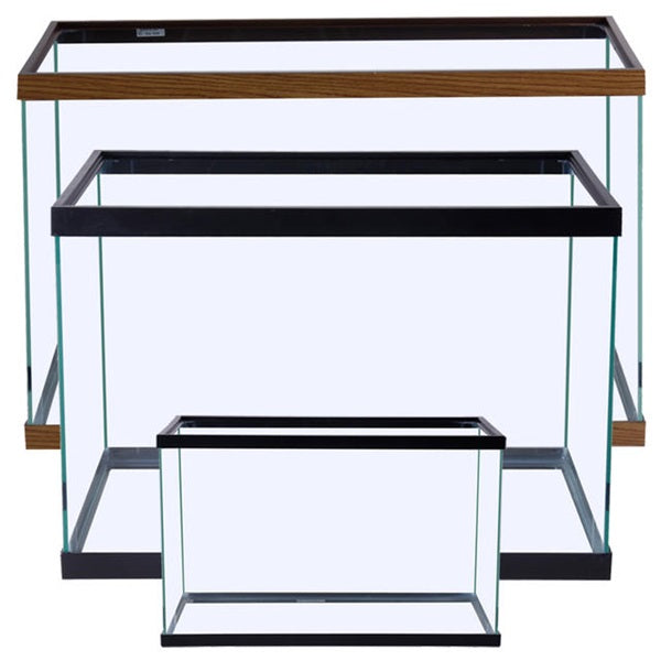 The Four Types of Fish Tanks You Need to Know