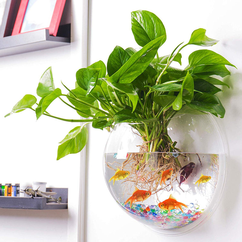 Read This Before You Buy a Wall-Mounted Fish Tank