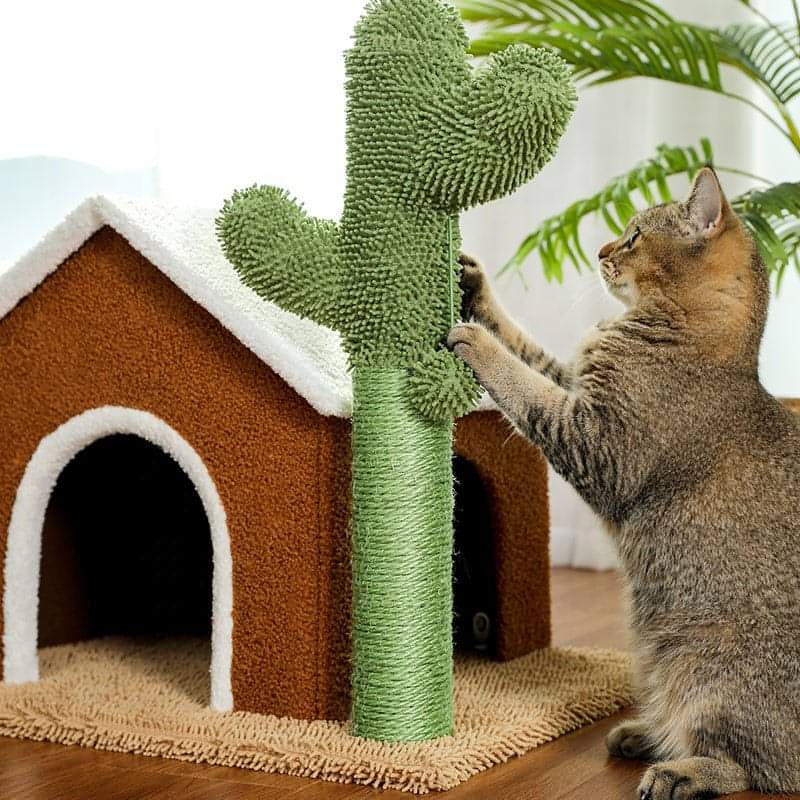 Cat fashion cactus scratcher