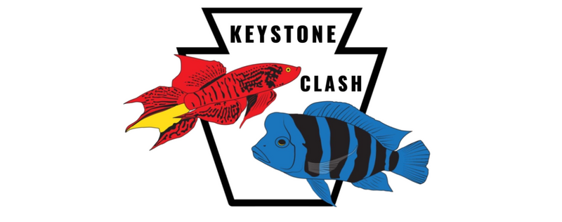 Keystone Clash aquarium expo